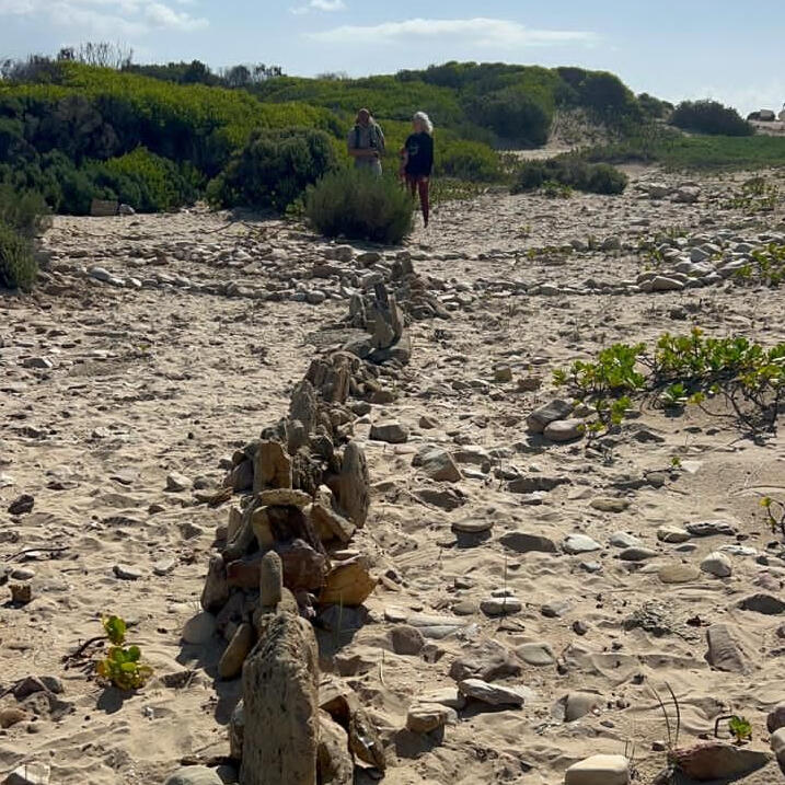 Buffelsbaai Whale iunearthed Land Art Collective Buffelsbaai Whale iunearthed Land Art Collective