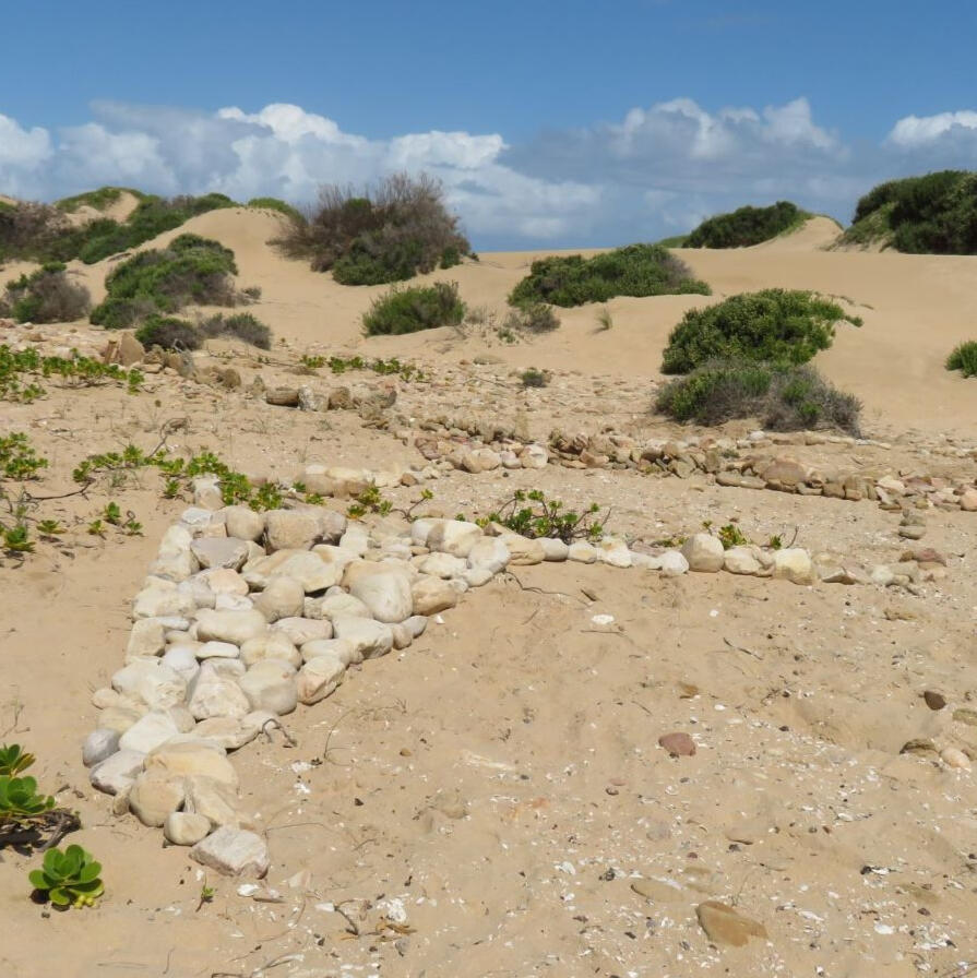 Buffelsbaai Whale iunearthed Land Art Collective Buffelsbaai Whale iunearthed Land Art Collective