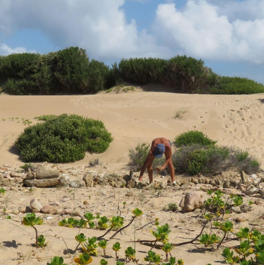 Buffelsbaai Whale iunearthed Land Art Collective Buffelsbaai Whale iunearthed Land Art Collective