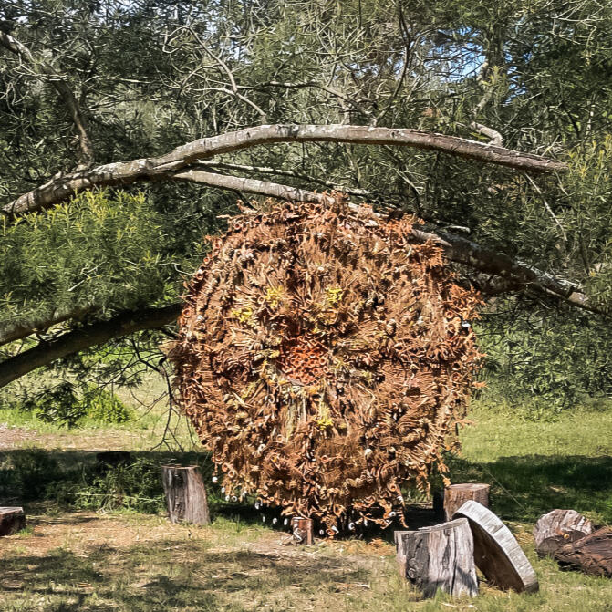 Well-Being Sanctuary Protea-Heart Sun Well-Being Sanctuary Protea-Heart Sun