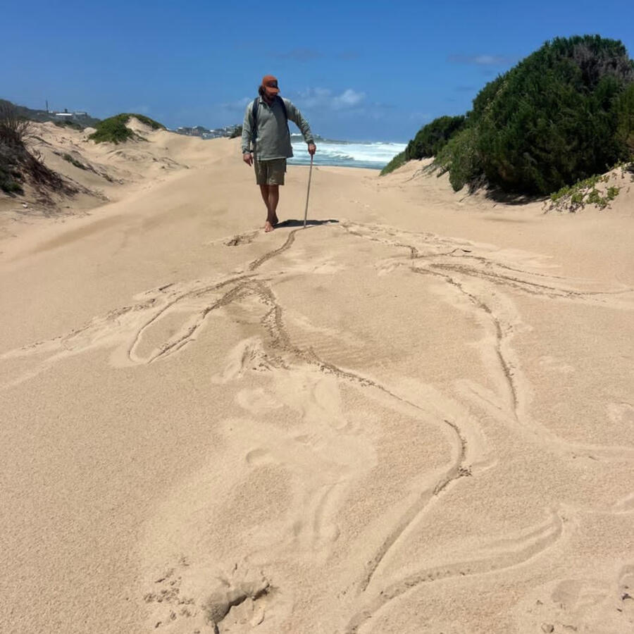 Buffelsbaai Whale iunearthed Land Art Collective Buffelsbaai Whale iunearthed Land Art Collective