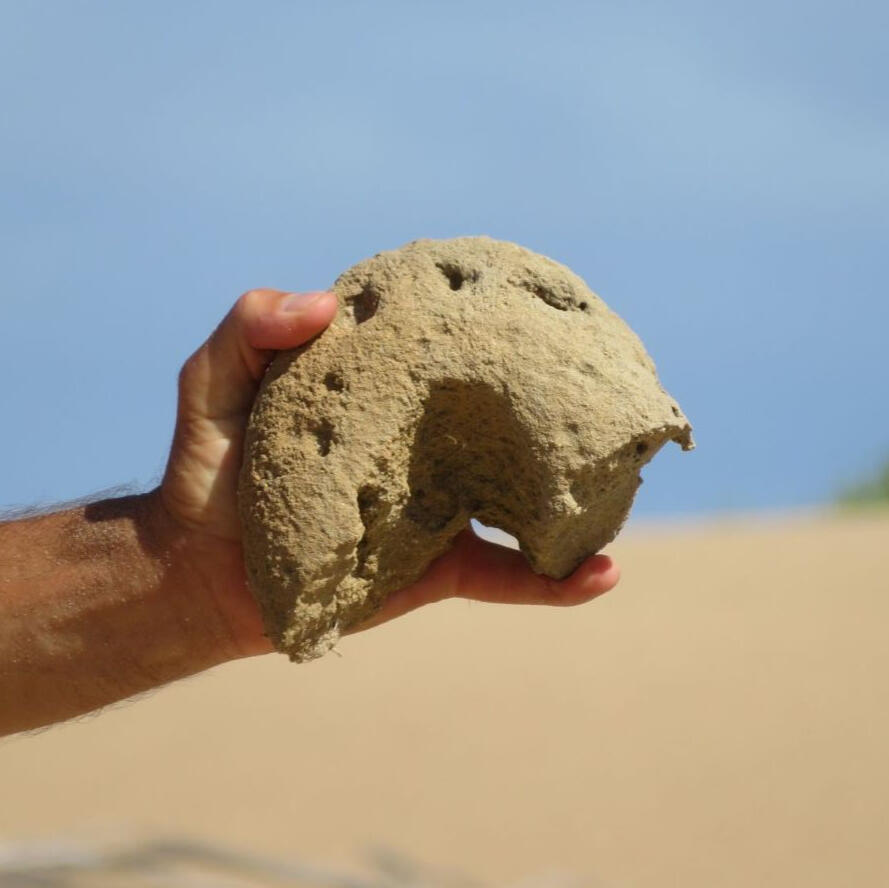 Buffelsbaai Whale iunearthed Land Art Collective Buffelsbaai Whale iunearthed Land Art Collective