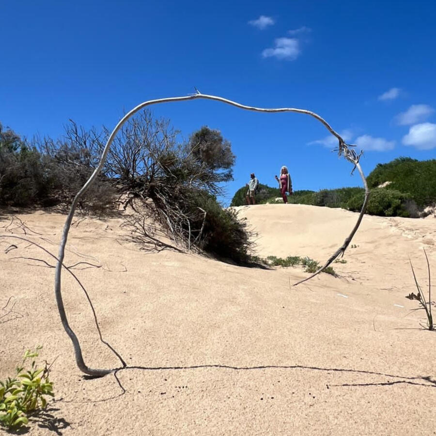 Buffelsbaai Whale iunearthed Land Art Collective Buffelsbaai Whale iunearthed Land Art Collective